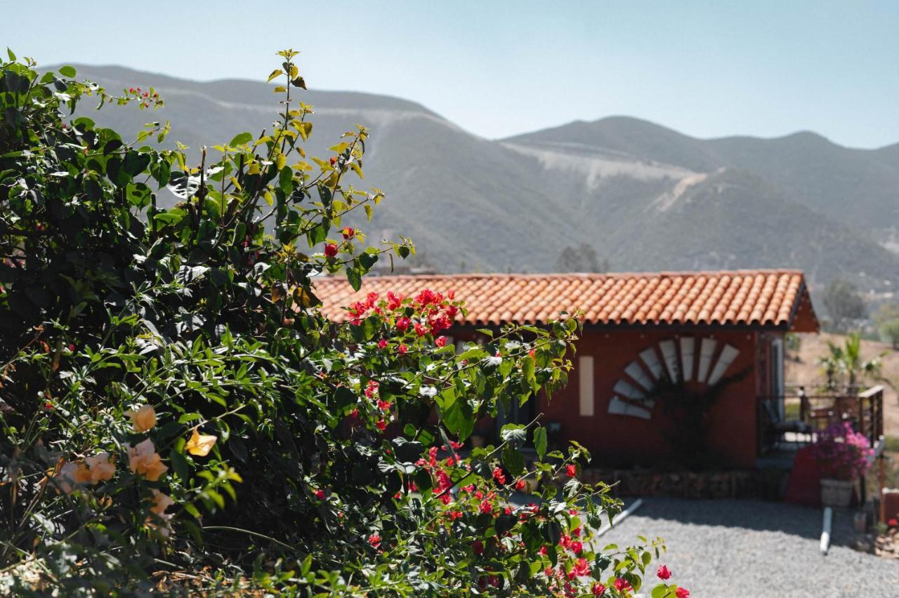Vina Calabria Bed & Breakfast Valle de Guadalupe Exterior photo