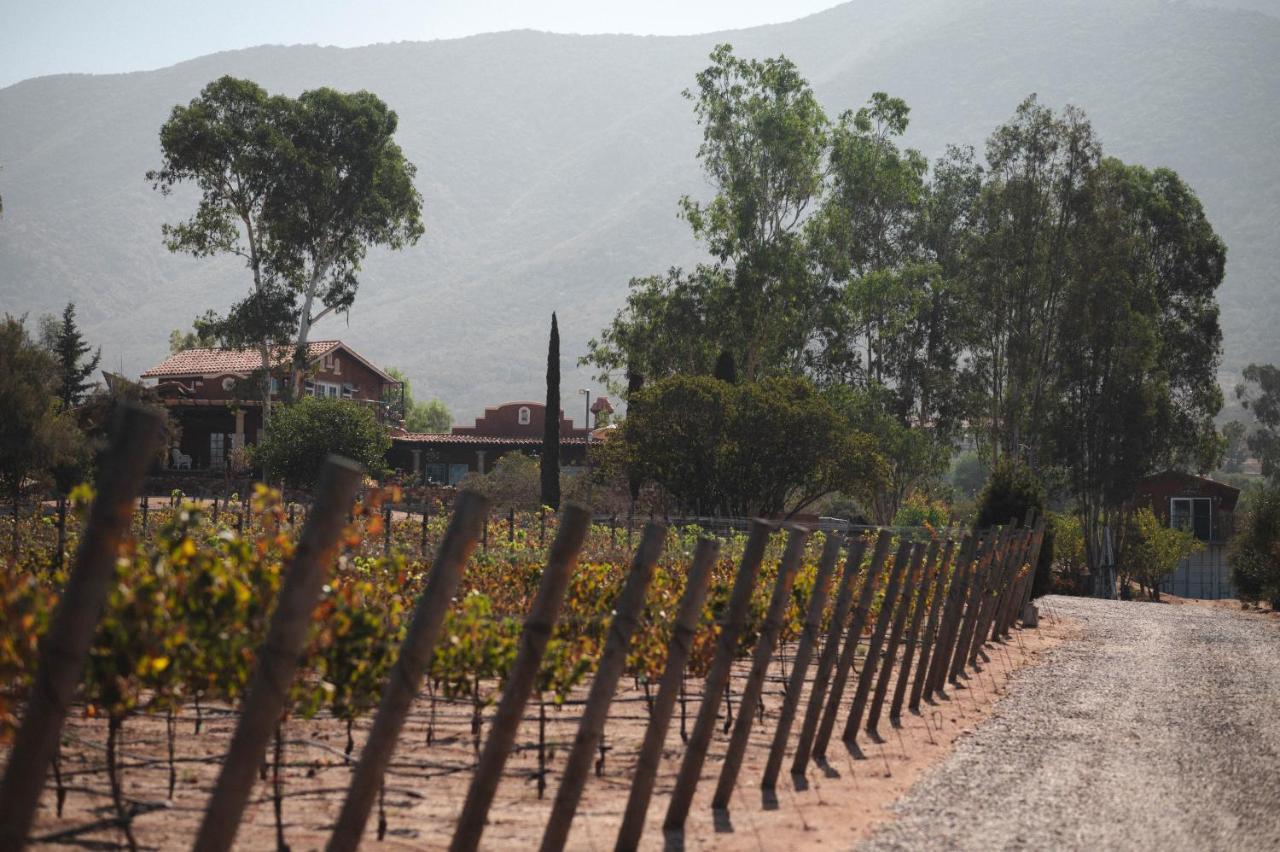 Vina Calabria Bed & Breakfast Valle de Guadalupe Exterior photo