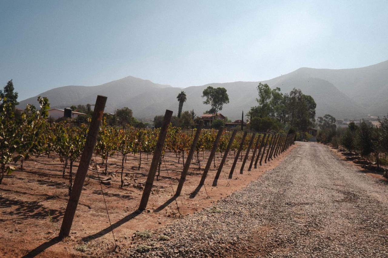 Vina Calabria Bed & Breakfast Valle de Guadalupe Exterior photo