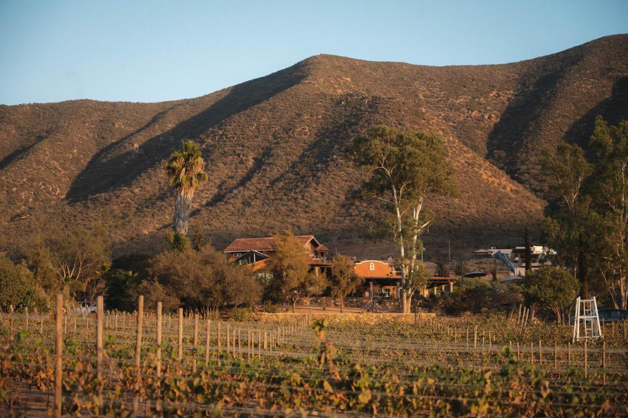 Vina Calabria Bed & Breakfast Valle de Guadalupe Exterior photo